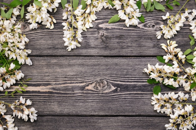 Schöne Akazienblütezweige mit vielen Blüten auf schwarzem hölzernem Hintergrund