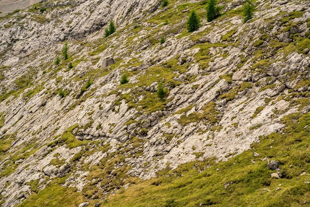 Schöne Alpen mit grünem Moos bedeckten felsigen Berg