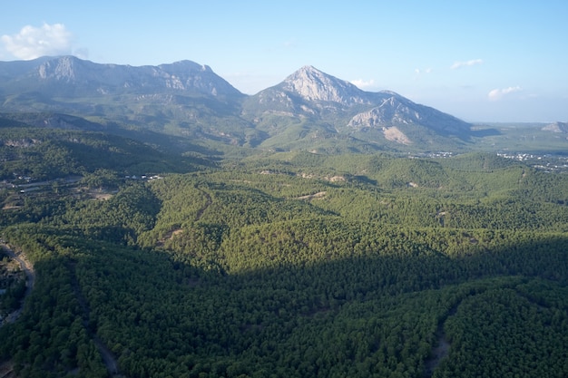 Schöne alpine Sommerlandschaft mit grünen bewaldeten Bergen. Luftaufnahme des Gebirgstals und der Wälder.