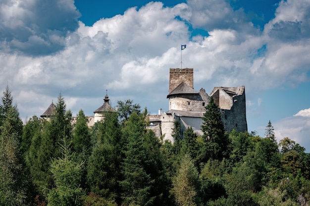 Schöne alte Burg auf einem Felsen über dem Fluss