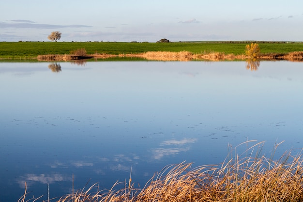 Schöne Ansicht einer Frühlingslandschaftsseelandschaft auf der Alentejo-Region, Portugal.