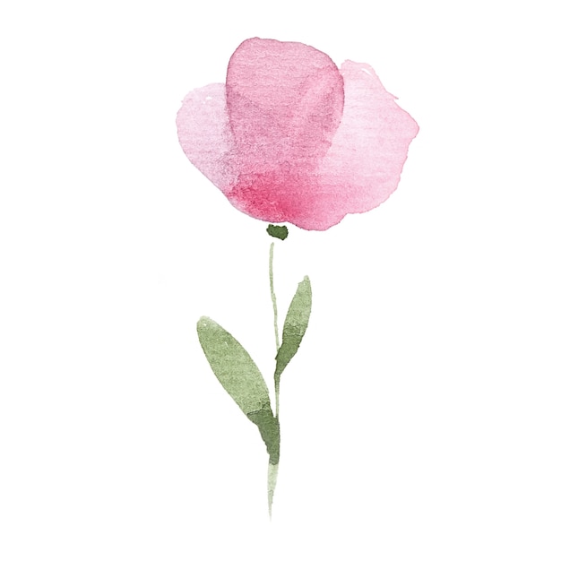 Schöne Aquarell-Wildblumenillustration