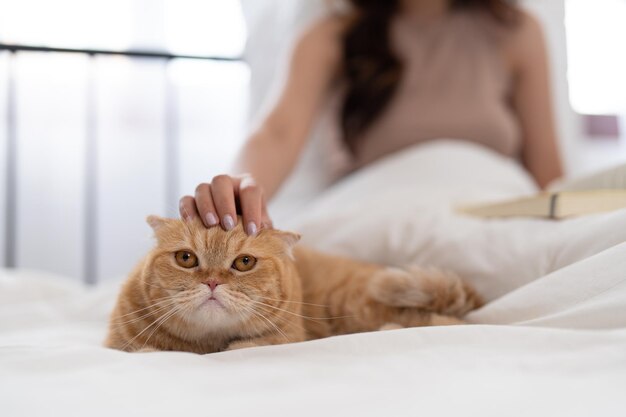 Schöne asiatische junge Frau streichelt ihren Katzenkopf, während sie zu Hause im Schlafzimmer ein Buch liest