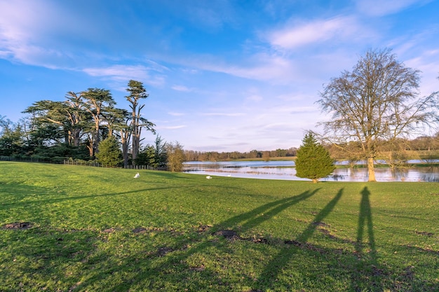 Schöne Aufnahme der Landschaften im Attingham Park in Shrewsbury, England