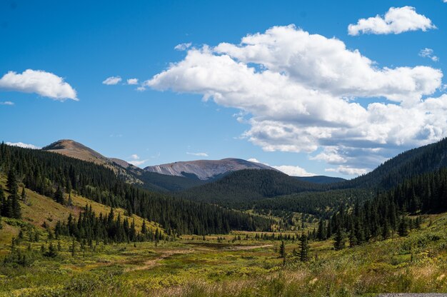 Schöne Aufnahme der Rocky Mountains und der grünen Wälder bei Tageslicht