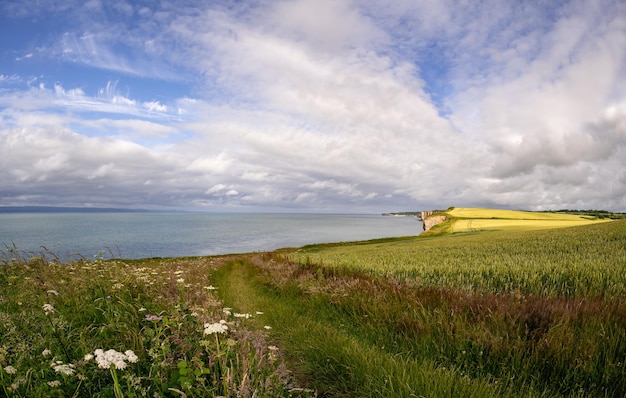 Schöne Aufnahme einer Naturlandschaft