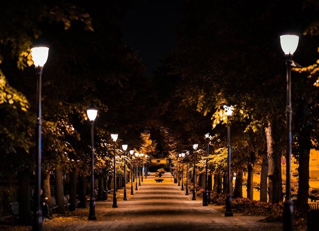 Schöne Aufnahme einer Straße, die nachts von Laternenpfählen gesäumt ist