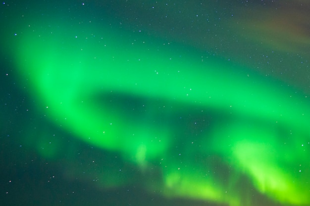 Schöne Aurora boreal auf den Lofoten