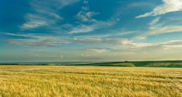 Schöne Aussicht an einem sonnigen Nachmittag