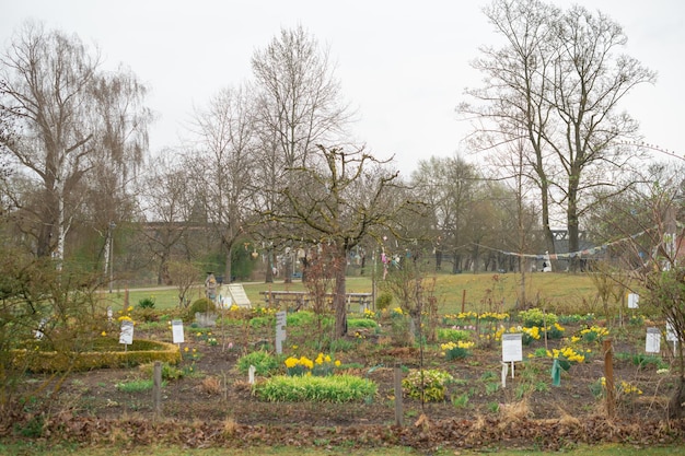 Schöne aussicht an einem sonnigen tag in einem park in deutschland ingolstadt