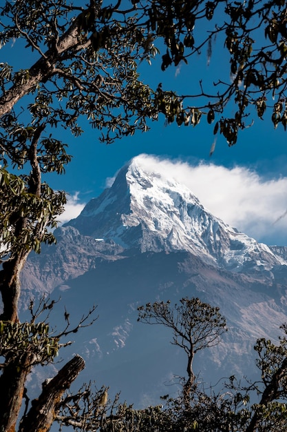 Schöne Aussicht auf das Annapurna-Gebirge Nepal