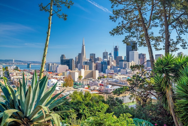 Schöne Aussicht auf das Geschäftszentrum in der Innenstadt von San Francisco in den USA