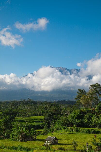Schöne Aussicht auf den Berg Agung. Bali, Indonesien.