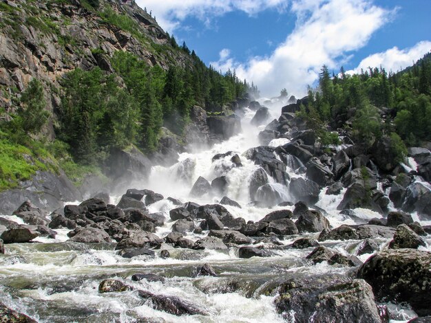 Schöne Aussicht auf den Bergfluss im Sommer, Altai, Russland of