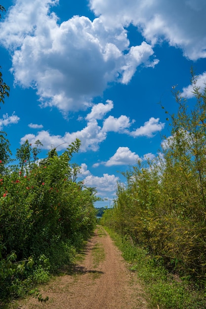 Schöne Aussicht auf den blauen Himmel mit Wolken bei Sonnenaufgang Teilweise bewölktHintergrund Wolke Sommer Wolke Sommer Himmel Wolke klar mit Sonnenuntergang Natürlicher Himmel filmischer schöner gelber und weißer Texturhintergrund