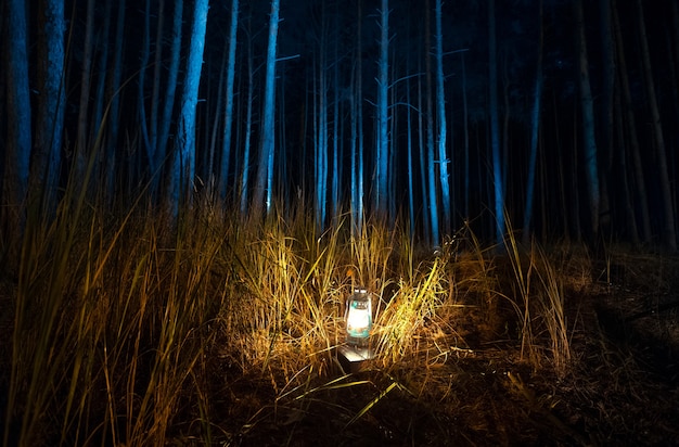 Schöne Aussicht auf den dunklen Wald bei Nacht, beleuchtet von einer alten Gaslampe