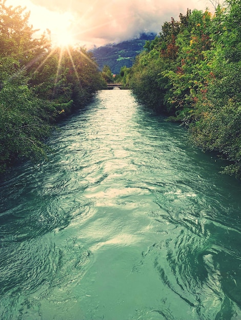 Foto schöne aussicht auf den fluss inmitten der bäume gegen den himmel