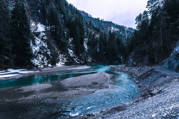 Foto schöne aussicht auf den fluss inmitten der bäume gegen den himmel