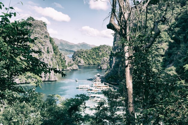 Foto schöne aussicht auf den fluss inmitten der bäume gegen den himmel