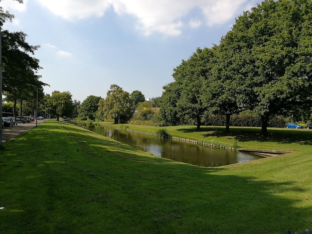 Schöne Aussicht auf den Fluss inmitten der Bäume gegen den Himmel