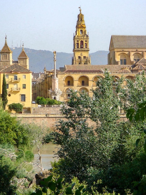 Schöne Aussicht auf den Glockenturm an einem Sommertag Cordoba Spanien