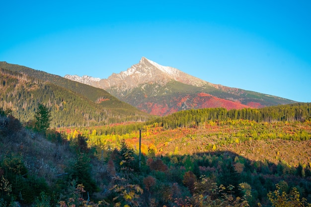 Schöne Aussicht auf den Krivan-Gipfel in der Slowakei in der Region Liptov