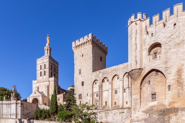 Schöne Aussicht auf den Palast der Päpste in der Stadt Avignon und die Kathedrale Unserer Lieben Frau von Doms