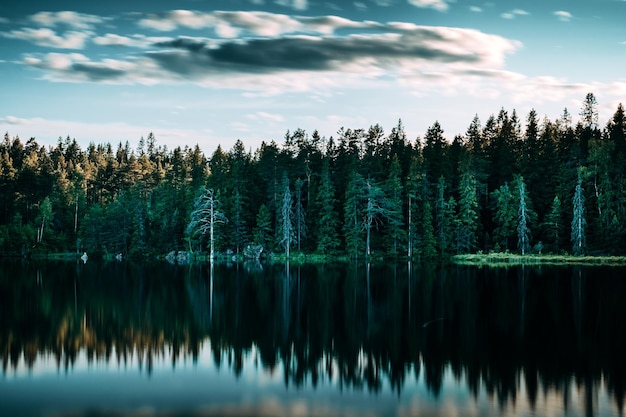 Schöne Aussicht auf den ruhigen See durch Bäume gegen den Himmel bei Sonnenuntergang