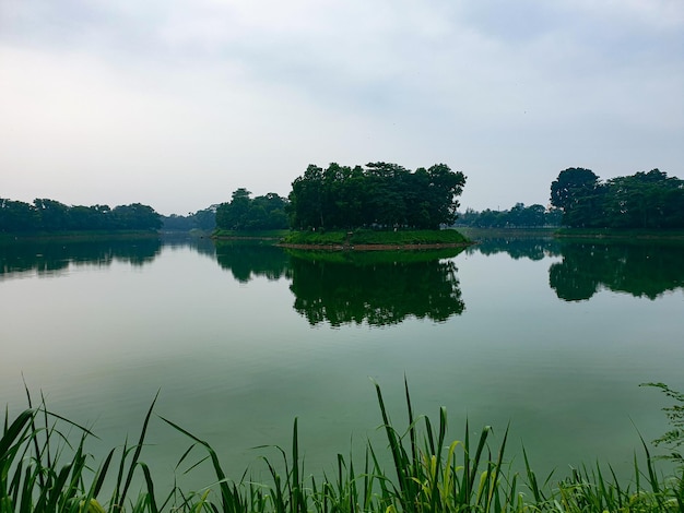 Schöne Aussicht auf den See am Morgen mit schattigen Bäumen drumherum