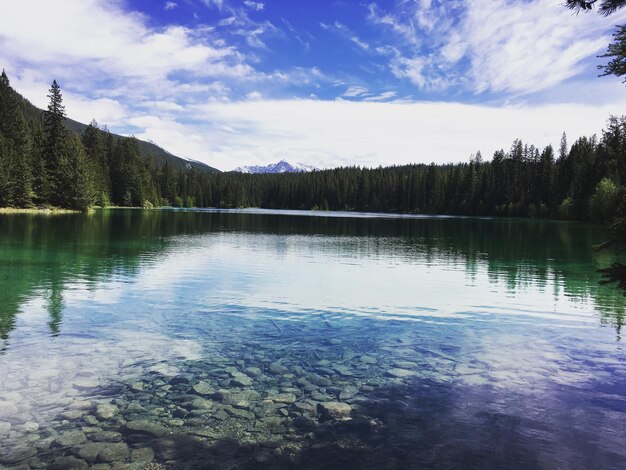 Schöne Aussicht auf den See mit den Bergen im Hintergrund