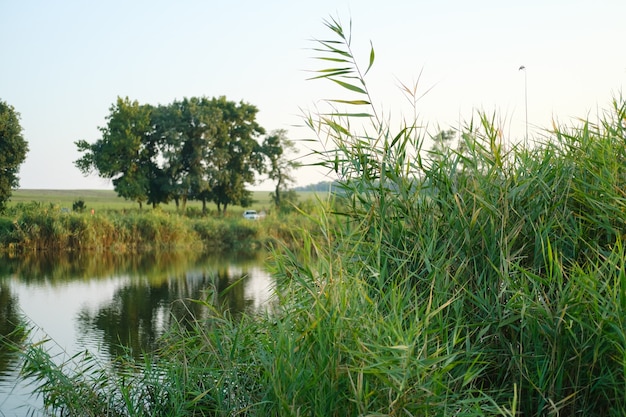 Schöne Aussicht auf den See