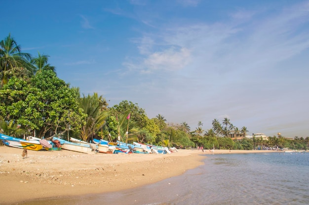 Schöne Aussicht auf den tropischen Strand von Sri Lanka an einem sonnigen Tag