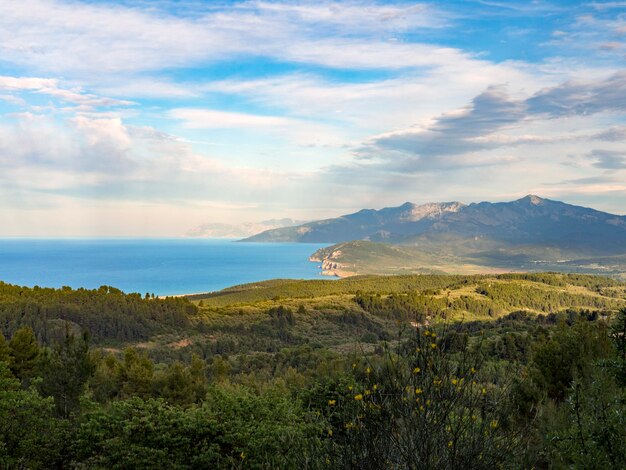 Schöne Aussicht auf den Wald und die Berge der Ägäis auf der Insel Euböa Griechenland an einem sonnigen Tag