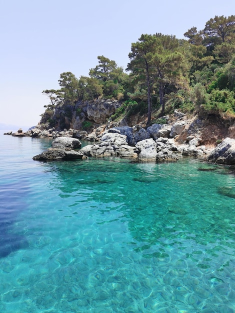 Schöne Aussicht auf die azurblauen Küste Felsen und Pinien Das Ägäische Meer Türkei Kusadasi