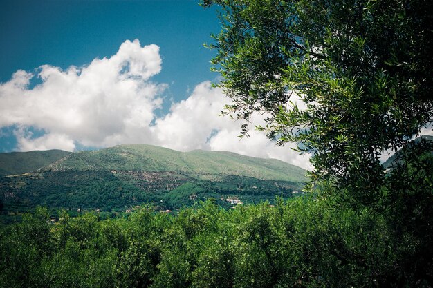 Schöne Aussicht auf die Berge der griechischen Insel Zakynthos