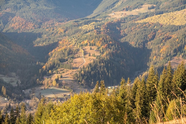 Schöne Aussicht auf die Berge in der Ukraine Wunderbare Panoramalandschaft mit Herbstwald an einem sonnigen Tag