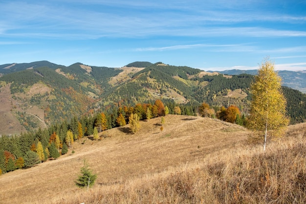 Schöne Aussicht auf die Herbstwiese und die Berge am sonnigen Tag Wunderbare Panoramalandschaft unter blauem Himmel