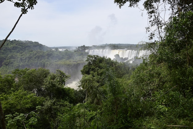 Schöne Aussicht auf die Iguazu-Wasserfälle, eines der sieben Naturwunder der Welt Puerto Iguazu Argentinien