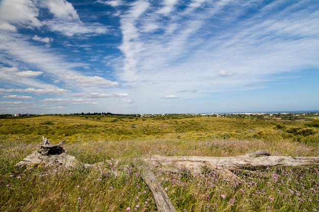 Schöne Aussicht auf die ländliche Landschaft der Algarve.