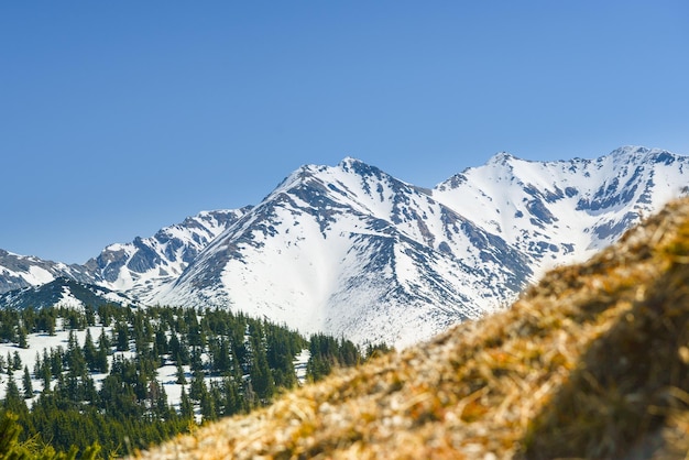 Schöne Aussicht auf die schneebedeckten Berge mit blauem Himmel, an sonnigen Tagen im Frühling. Westliche Tatra.