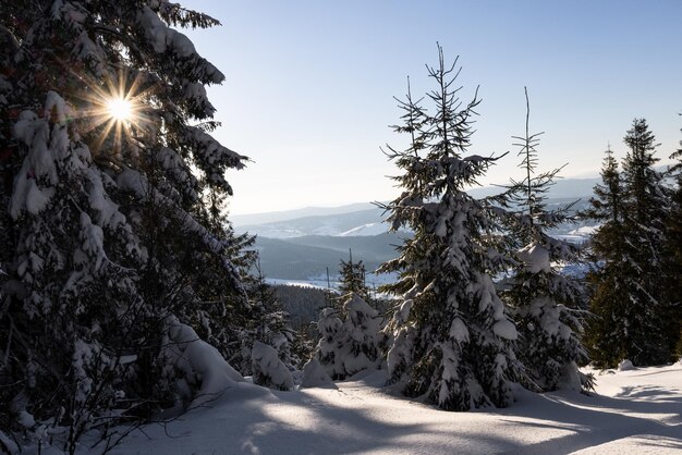 Schöne Aussicht auf die Skipiste an einem sonnigen Winterabend vor dem Hintergrund des nebligen Himmels, Konzept der Entspannung in sauberen europäischen Skigebieten