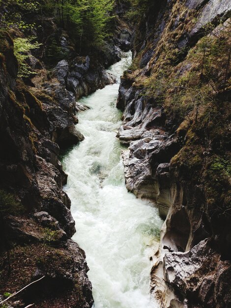 Foto schöne aussicht auf eine schlucht im wald