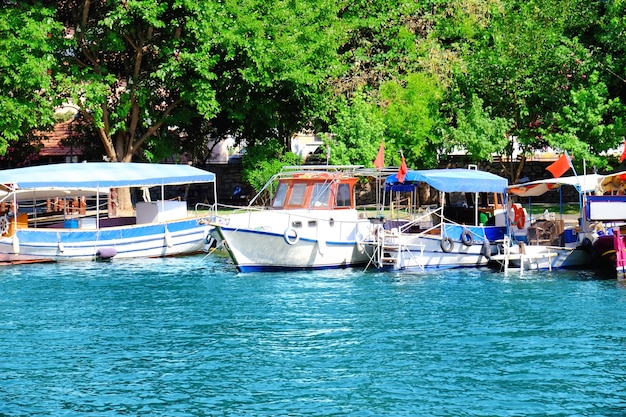 Schöne Aussicht auf festgemachte Boote an sonnigen Sommertagen