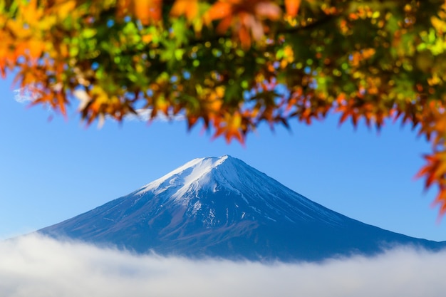 Schöne Aussicht auf Fuji San Berg mit bunten roten Ahornblättern und Wintermorgennebel in der Herbstsaison am See Kawaguchiko, besten Orten in Japan, Reise- und Landschaftsnaturkonzept