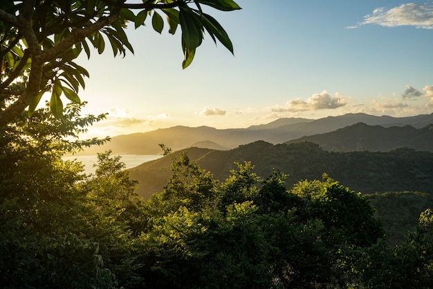 Schöne Aussicht auf grüne Bäume mit Hügeln und Himmel im Hintergrund stockfoto