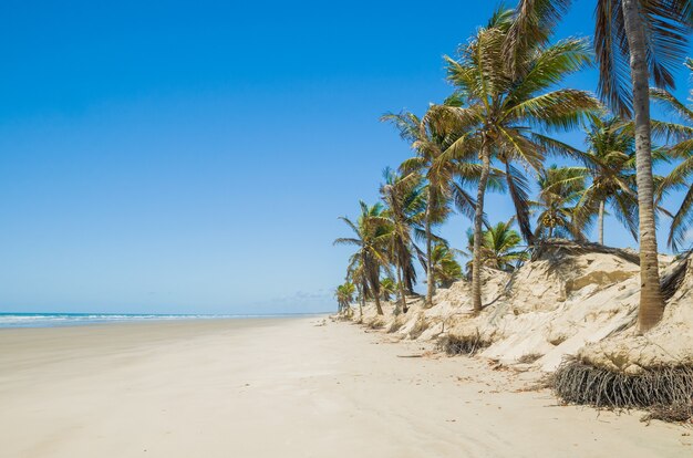 Schöne Aussicht auf Mangue Seco in Bahia