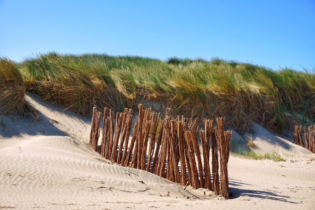 Foto schöne aussicht auf sanddünen vor klarem blauen himmel