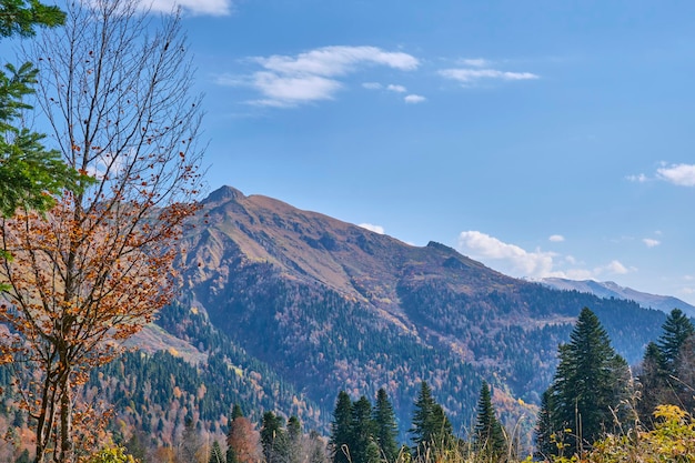 Schöne Aussicht von der Spitze des Kaukasuskamms