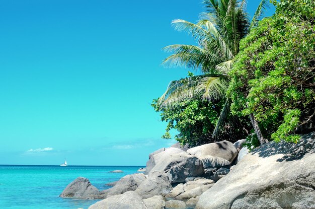 Schöne Aussichten auf der Insel in Phuket