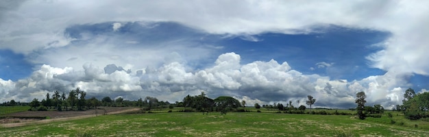 Schöne Baumlandschaft mit blauem Himmel